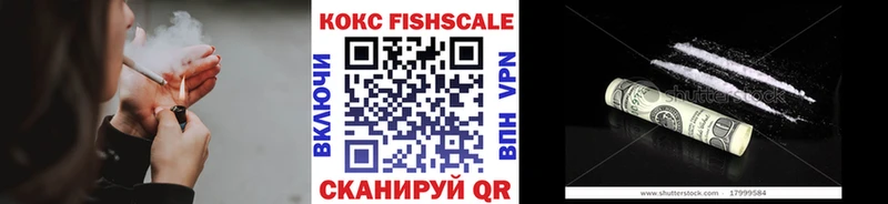 наркотики  MEGA как войти  нарко площадка как зайти  Дегтярск  Кокаин Fish Scale 