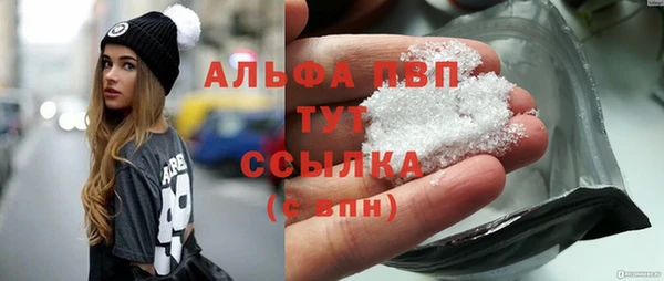 стафф Алексин