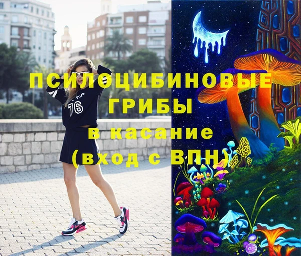 стафф Алексин