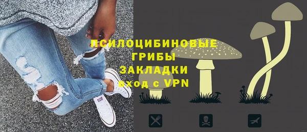 стафф Алексин