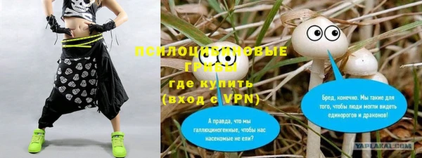 стафф Алексин