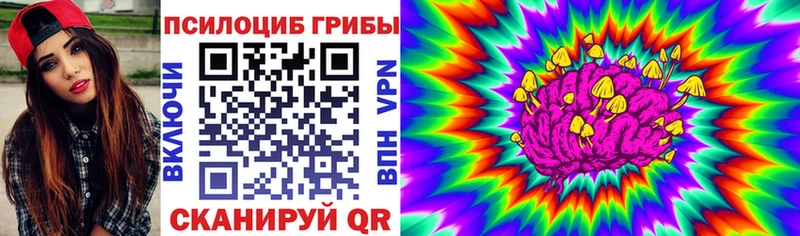 Псилоцибиновые грибы GOLDEN TEACHER  купить наркотики цена  Дегтярск 