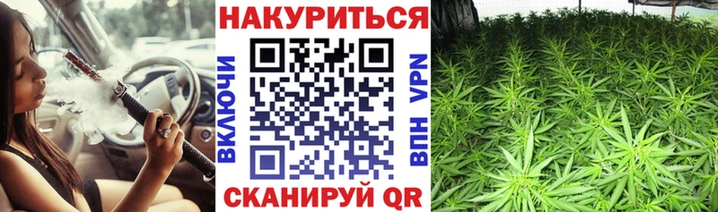 где найти   Дегтярск  площадка какой сайт  Марихуана индика 